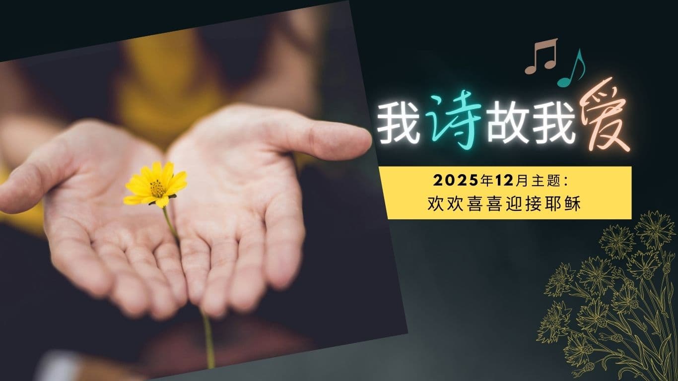 我诗故我爱：2025年12月