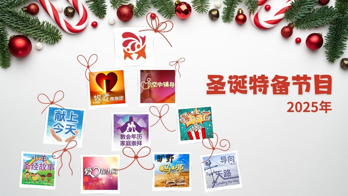 2025年圣诞特备节目